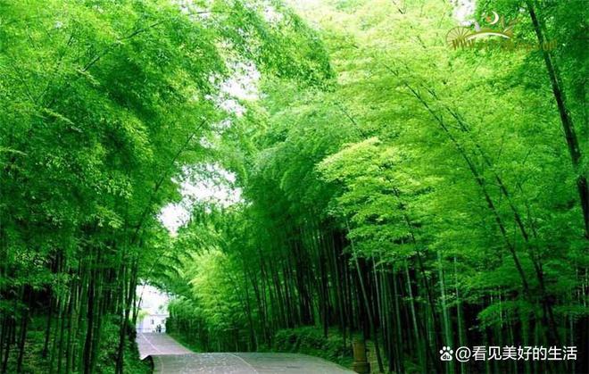 游价格2-8人纯玩小团六天五晚游要多少钱PG麻将胡了免费试玩模拟器重庆双飞六日(图1)
