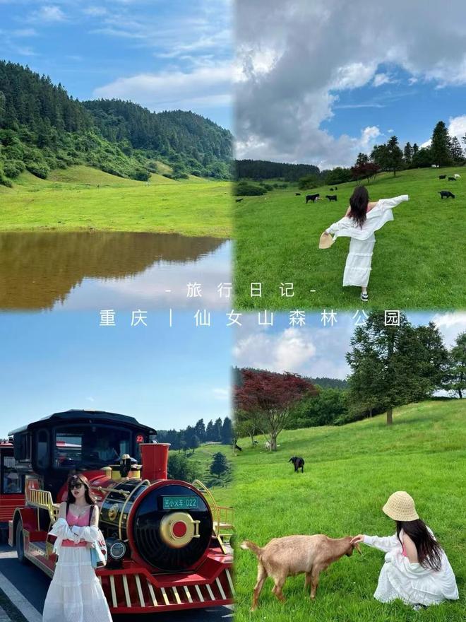 导游推荐最实惠的游玩价格分享诚心分享麻将胡了试玩模拟器重庆本地旅行团报名(图3)