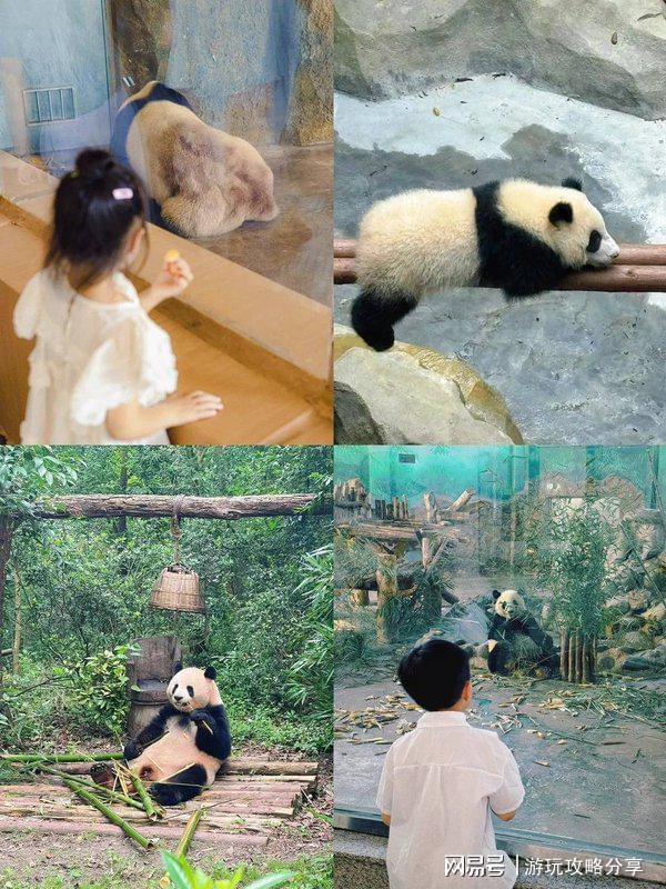 ！ 成都景点地图 什么时候去四川玩最好麻将胡了2游戏入口省钱篇_看完少走弯路(图3)