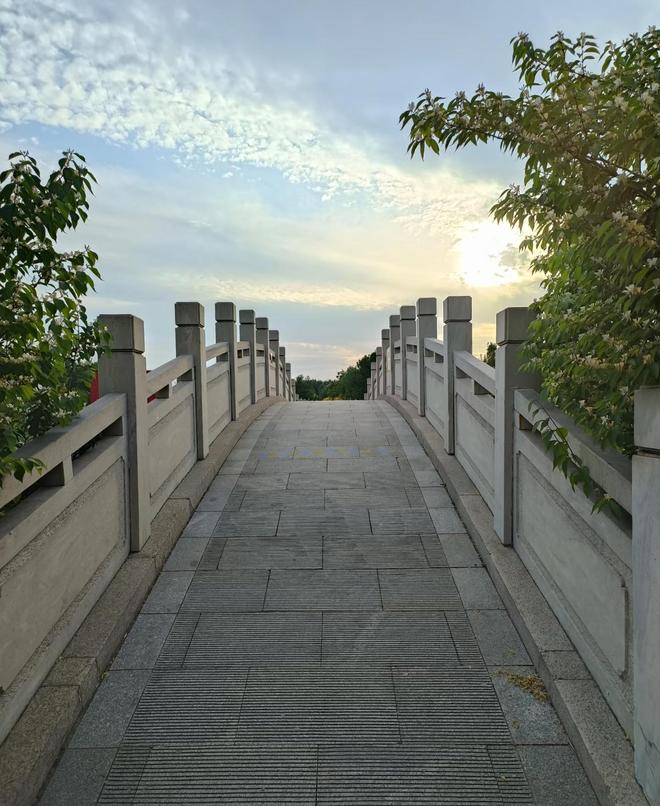 数次的湿地公园！地铁公交直达美哭！PG麻将胡了在天津！我唯一想去无(图6)